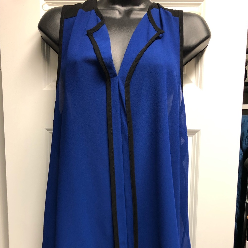 Semi - Sheer, Royal Blue and Black Stripe tank top